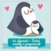 6 dzień pingwina